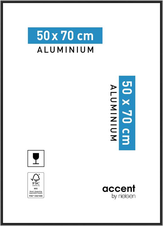 Energie-Label Nielsen Accent (50 x 70 cm)
