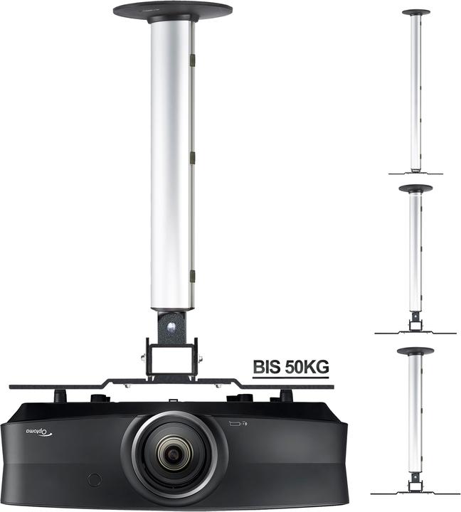 Projector mounts