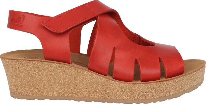 Mephisto Misha (37)