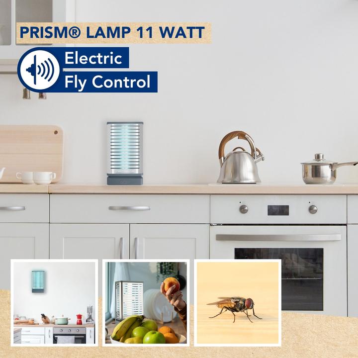 Productafbeelding Edialux Lampe f?r Prism? - 11 W