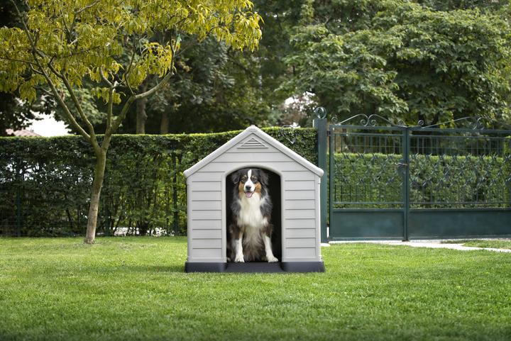 Produktbild Curver Hundehütte - Haus Für (Hundezwinger)