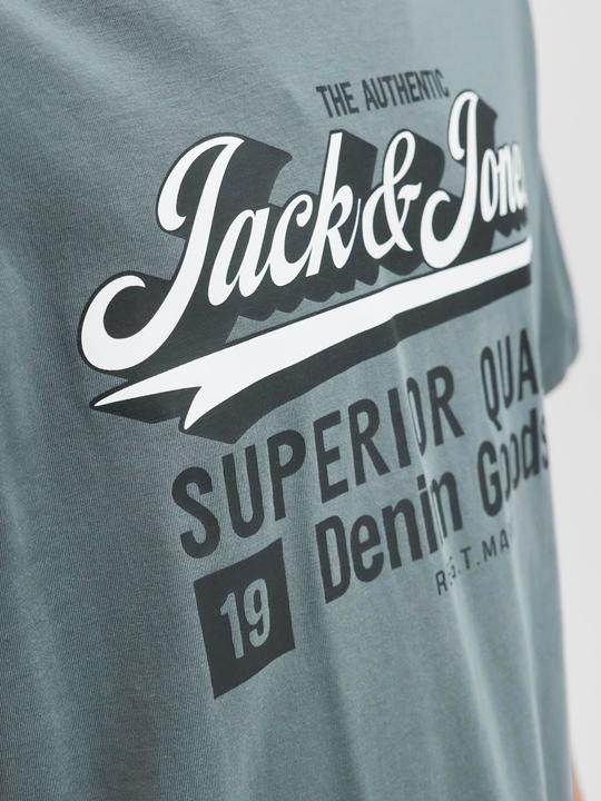 Actual product image Jack & Jones Jjelogo Tee Ss Oneck 2 Col Aw25 Noos Pls (5XL)