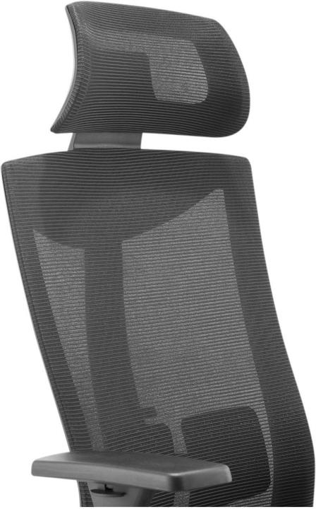Image du produit Ergo Office Chaise ergonomique à dossier haut, max 150kg, ER-414