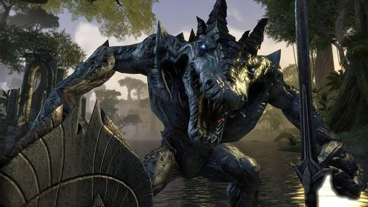 Immagine prodotto Bethesda The Elder Scrolls Online: Morrowind PS4 (PS4)