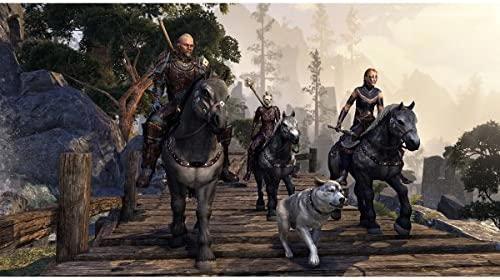 Immagine prodotto Bethesda The Elder Scrolls Online: Morrowind PS4 (PS4)