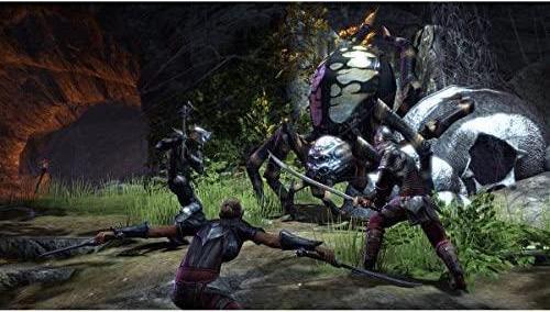 Immagine prodotto Bethesda The Elder Scrolls Online: Morrowind PS4 (PS4)