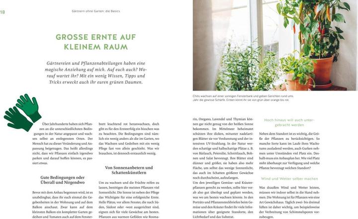 Productafbeelding Deine Fensterbank kann Garten! (Duits, Annemarie Imgrund, 2023)