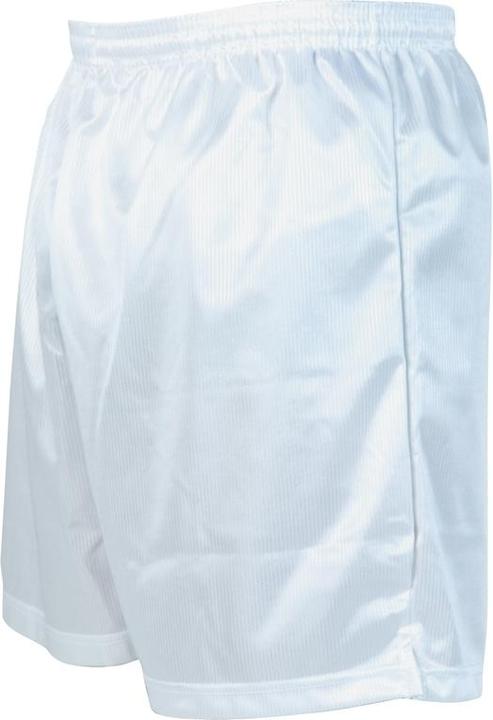 Precision Mikrostripe-Shorts (XL)