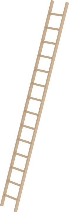 Actual product image Munk Rung single ladder wood without crossbar 14 rungs (Single ladder, 416 cm)