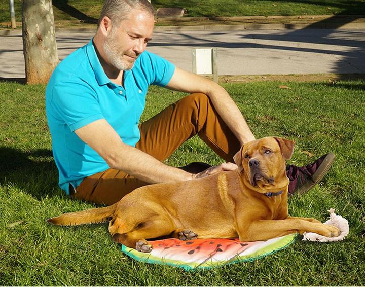 Actual product image Starlyf Pet Cooling Mat (Dog)