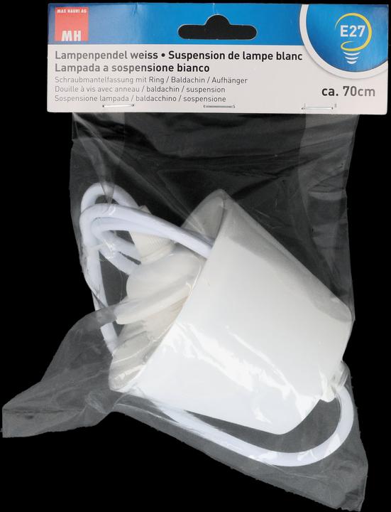 Image du produit Max Hauri Suspension de lampe E27