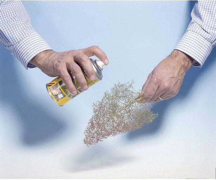 Actual product image Noch Tree blanks