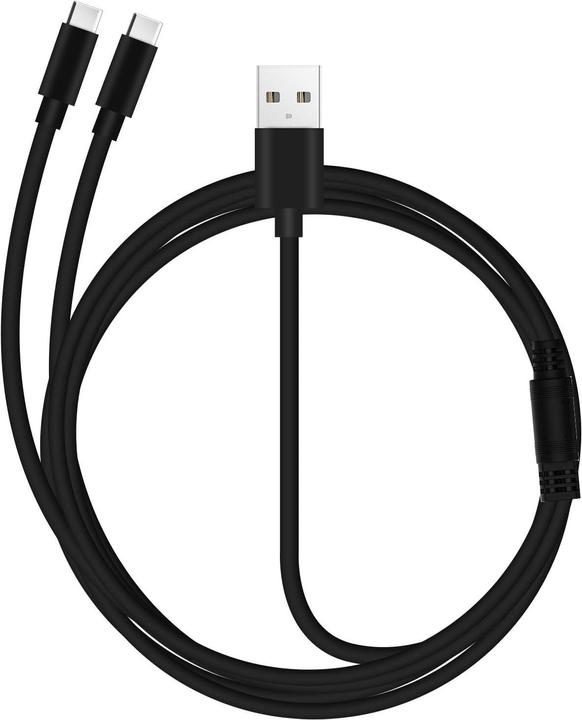 Avizar USB / 2x USB-C Kabel (0.30 m, USB 2.0)