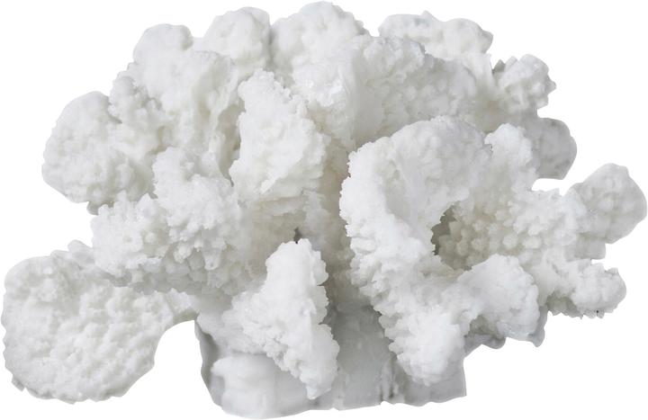 Image du produit Mette Ditmer Coral (12 x 13 x 8 cm)