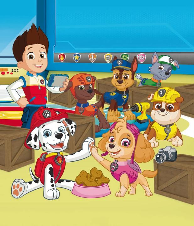 Produktbild Paw Patrol - Mein Taschenlampenbuch (Deutsch, Schwager & Steinlein Verlag, 2021)