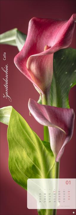 Produktbild Magic Flowers Vertical Kalender 2026 (24,5 x 69 cm, Harter Einband, Deutsch)