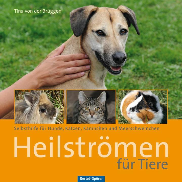 Actual product image Heilströmen für Tiere (German, Tina von der Brüggen, 2014)
