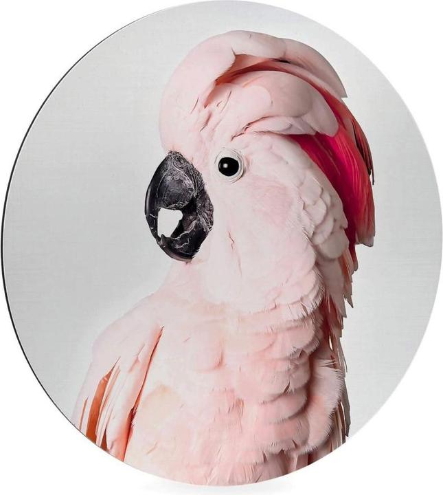 Produktbild Trenddeko Rosa Kakadu (Ø 20 cm)