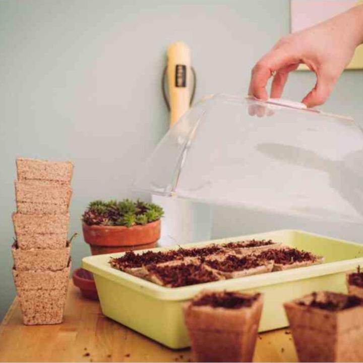 Actual product image Siena Garden Coco-Earth (10 l)