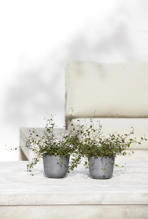Image du produit Ecopots Oslo Mini (16 cm)