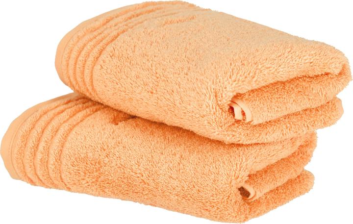 Apricot