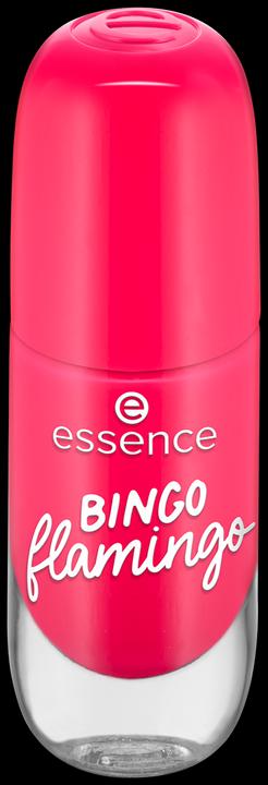 13 BINGO fenicottero