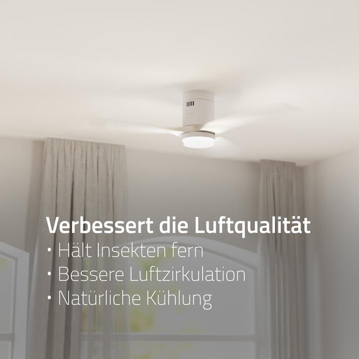 Actual product image Hombli Deckenventilator mit Licht (43 dB)