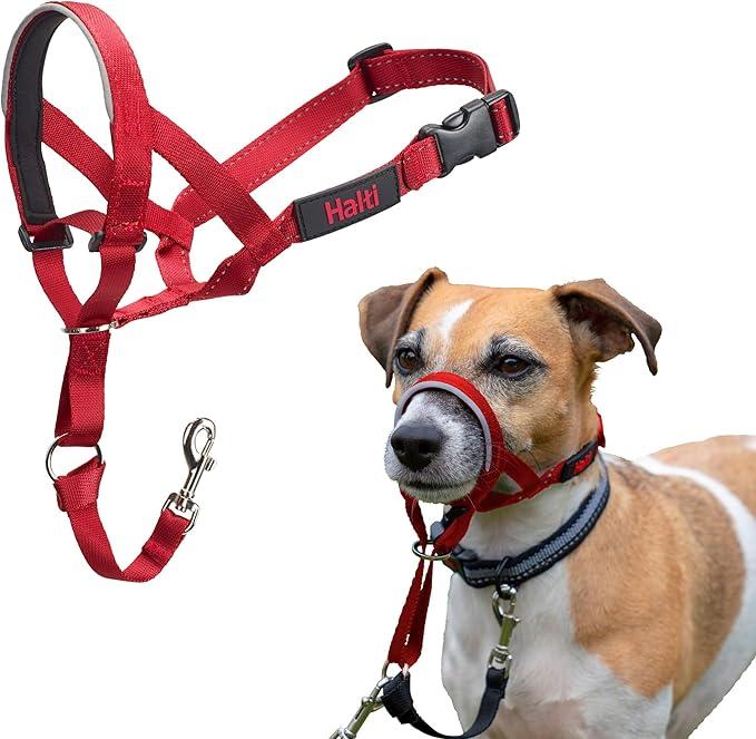 Actual product image Company of Animals Halti Red Kopfgeschirr 3 (3, Dog)