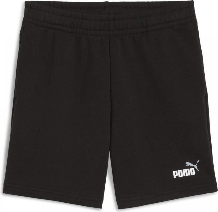 Actual product image Puma ESS 2 COLOR No. 1 Logo Shorts TR B (164)
