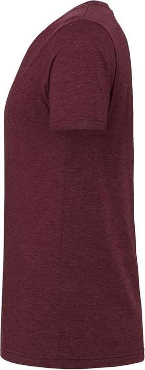 Actual product image Bella Canvas Triblend Tee (L)