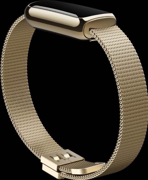 Actual product image Fitbit Luxe stainless steel bracelet (Stainless steel)
