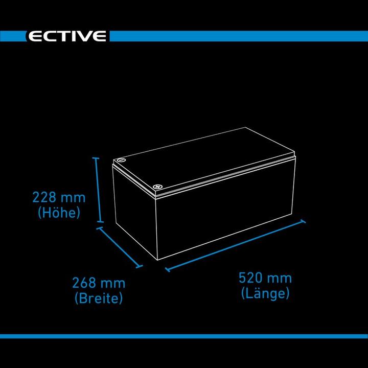 Actual product image Ective 12V 250Ah LiFePo4 Solar Battery Lithium Battery BMS Camper LFP BT Supply Battery (12 V, 250 Ah)