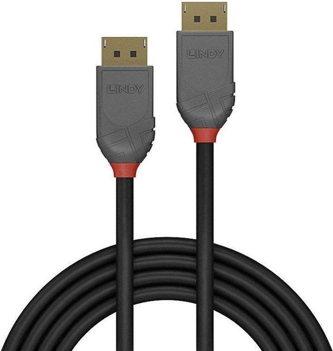 Produktbild Lindy DisplayPort — DisplayPort (0.50 m, DisplayPort)