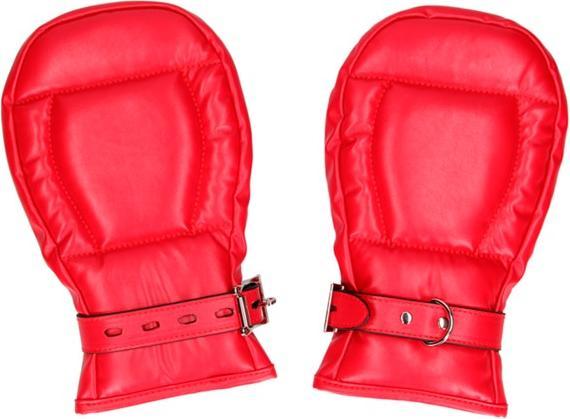 Image du produit Ouch! Neoprene Dog Mitts