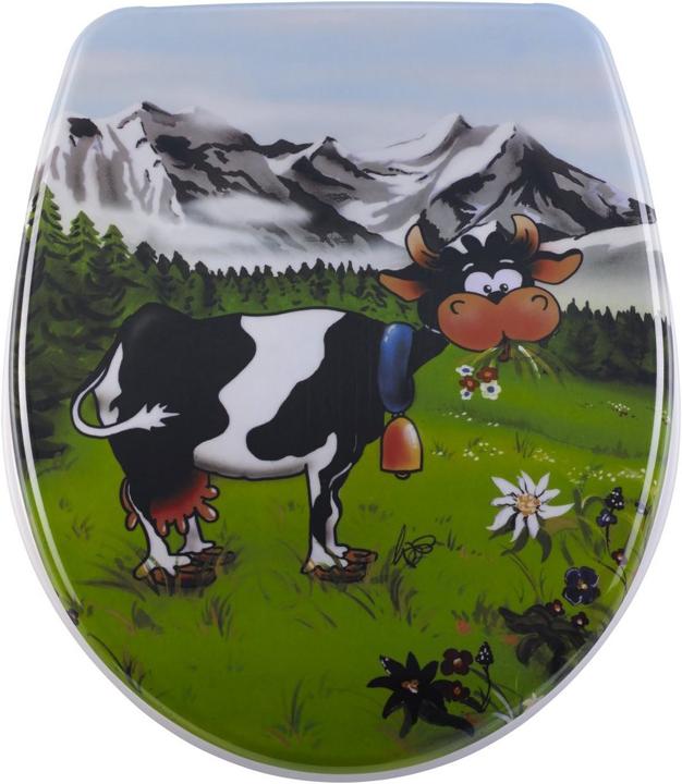 Diaqua Mooie koe
