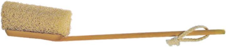 Bath brush handle removable loofah