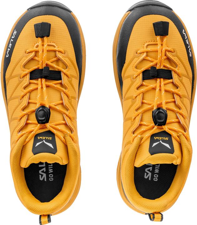 Image du produit Salewa Kid's Wildfire 2 (36)
