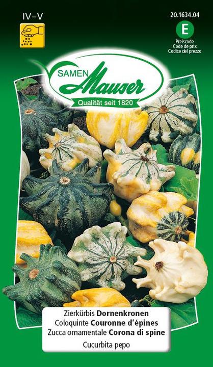 Produktbild Samen Mauser Zierkürbis Dornenkronen (Gemüsesamen)