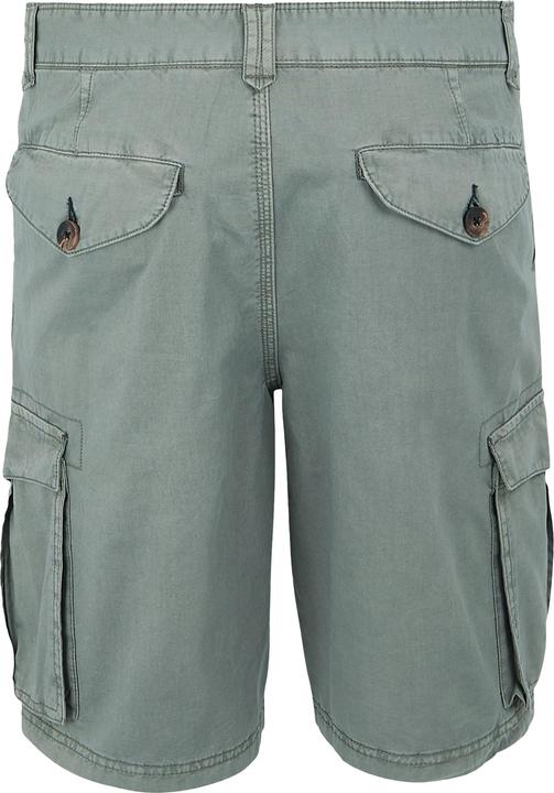 Actual product image Regatta Mens Shorebay II Cargo Shorts (Frequency band 38 (2600 MHz))
