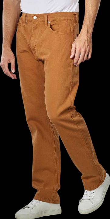 Actual product image Levis 10018264 (W31/L30)