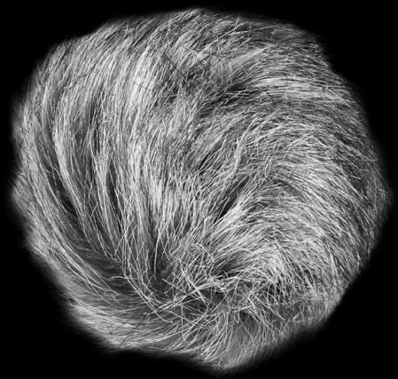 Produktbild Zoom Wsu-1 (Windschutz)