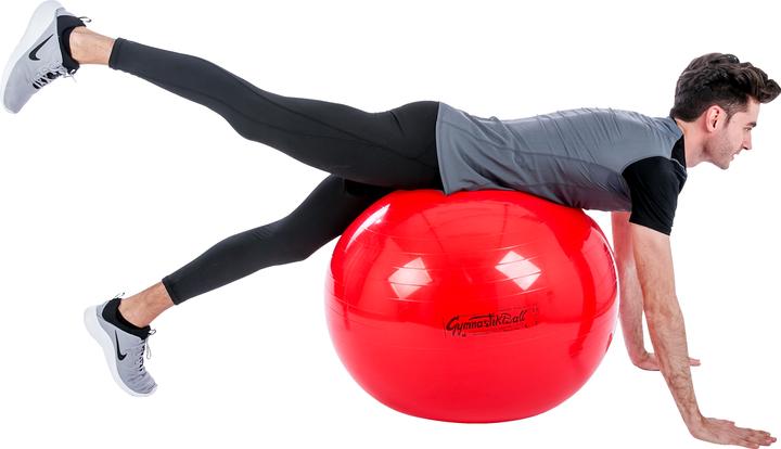 Produktbild Ledragomma Original Pezziball (75 cm)