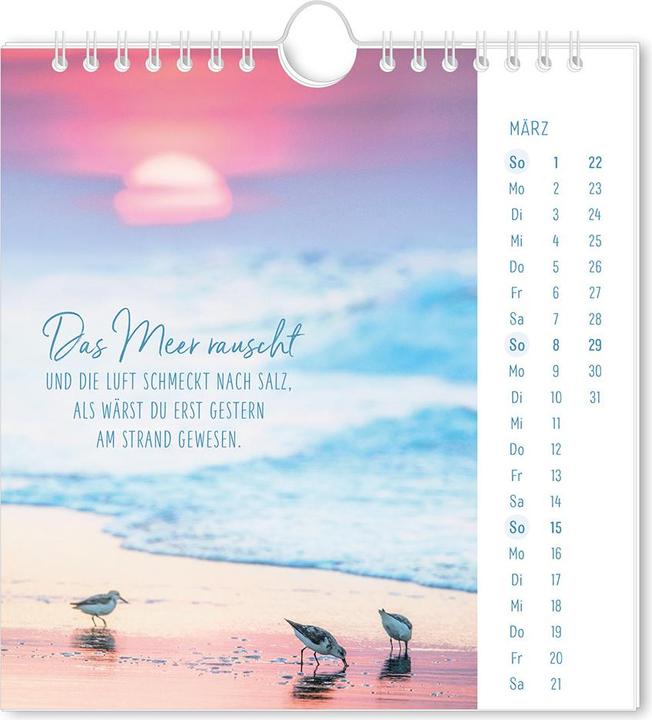 Produktbild Postkartenkalender 2026 Lichtblicke (16 x 17 cm, Harter Einband, Deutsch)