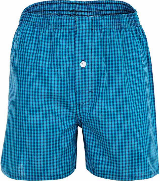 Image du produit Your Basics Boxers tissés Casual Coupe ample (188, paquet de 7)