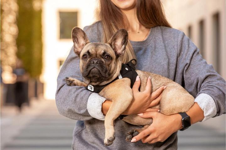 Produktbild Curli Vest Air-Mesh (XXS, Hund, Allgemein)