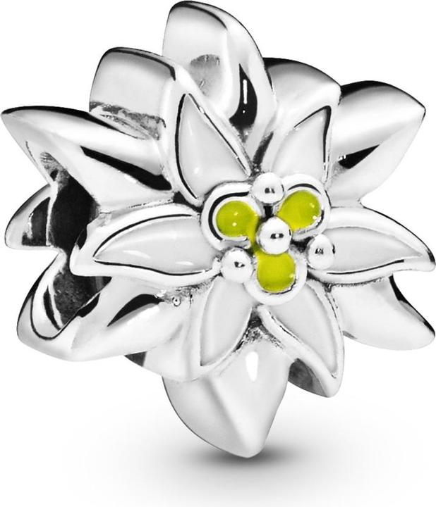 Immagine prodotto Pandora Fiore di stella alpina (Argento 925)