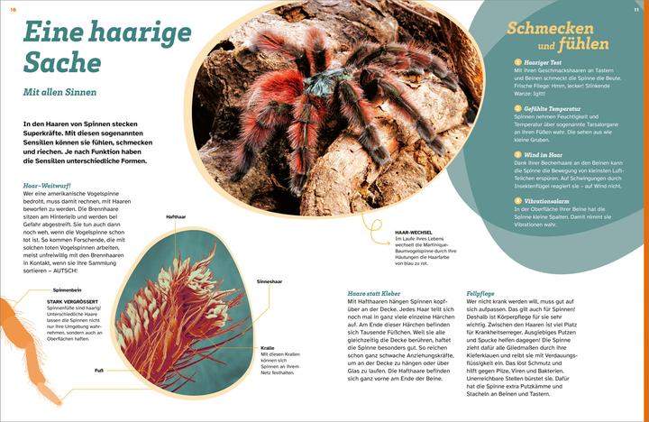 Actual product image Tessloff WAS IST WAS Spinnen. Akrobaten auf acht Beinen (German, Inga Marie Ramcke, 2024)