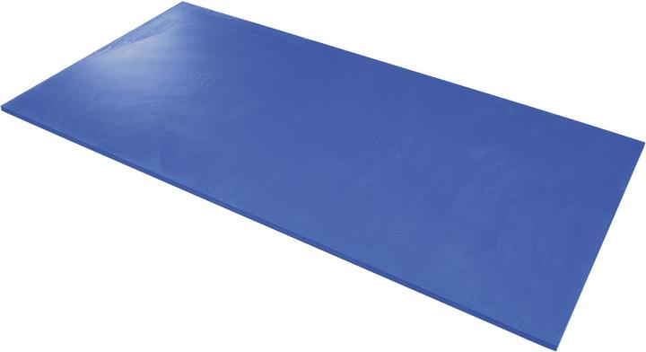 Airex Gymnastikmatte Hercules (25 mm)