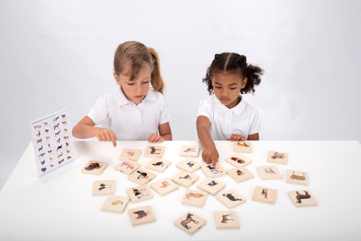 Image du produit TickiT Jeu de paires d'images d'animaux domestiques (Mémo) en bois (28 pièces) (Français, Allemand, Anglais, Italien)