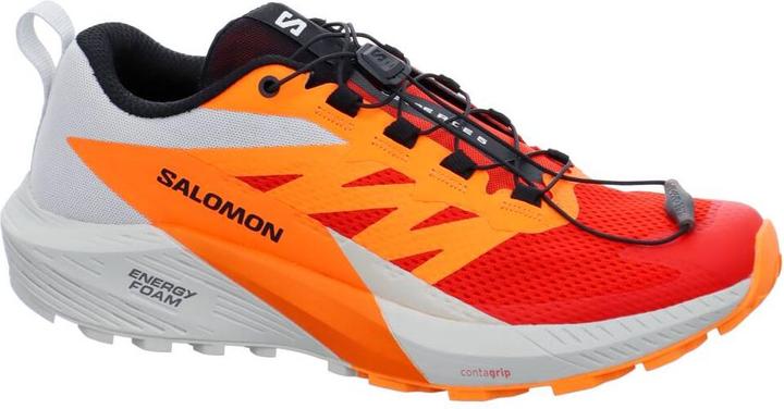 Salomon Sense Ride 5 (46 2/3)
